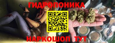 ПСИЛОЦИБИНОВЫЕ ГРИБЫ Можга